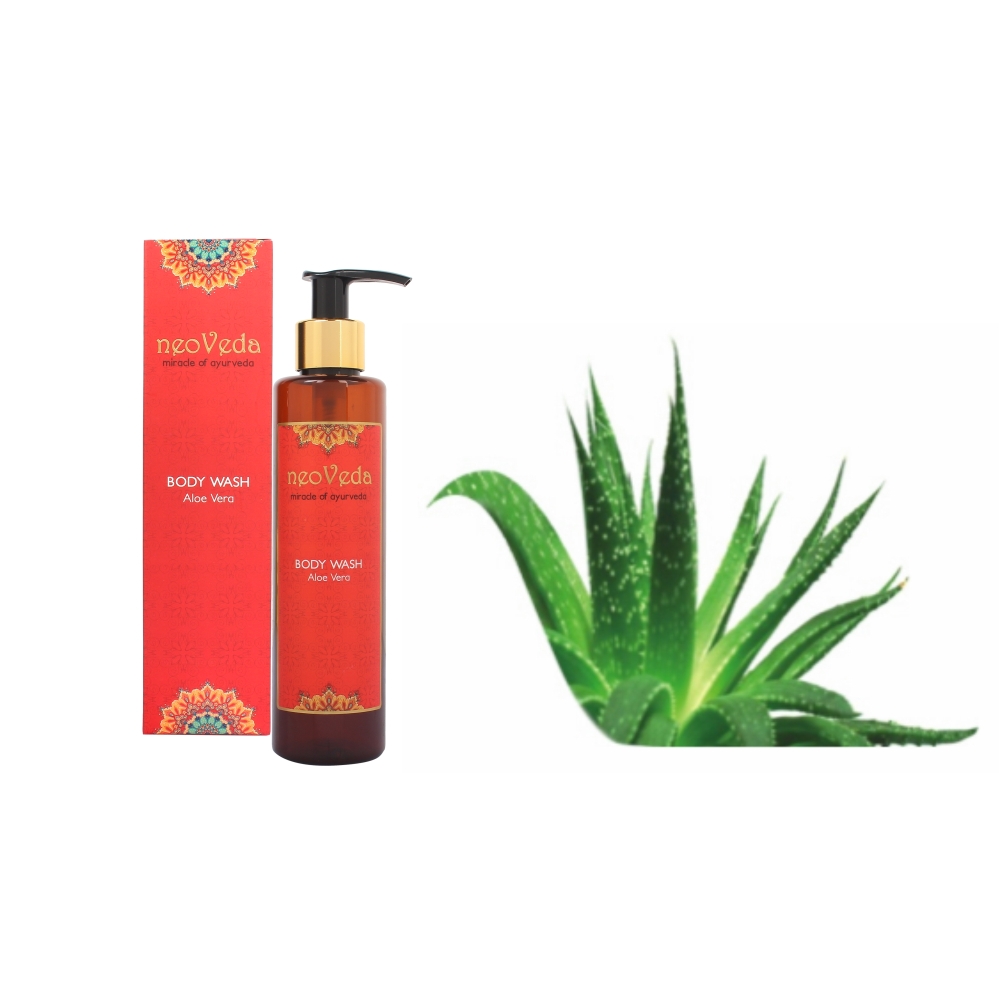 BODY WASH Aloe Vera | 2440006 | Craft House India